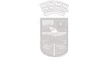 TORTEL1